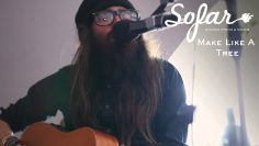 Make Like A Tree – What If | Sofar Wroclaw