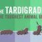 Meet the tardigrade, the toughest animal on Earth – Thomas Boothby