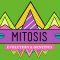 Mitosis: Splitting Up is Complicated – Crash Course Biology #12