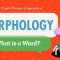 Morphology: Crash Course Linguistics #2