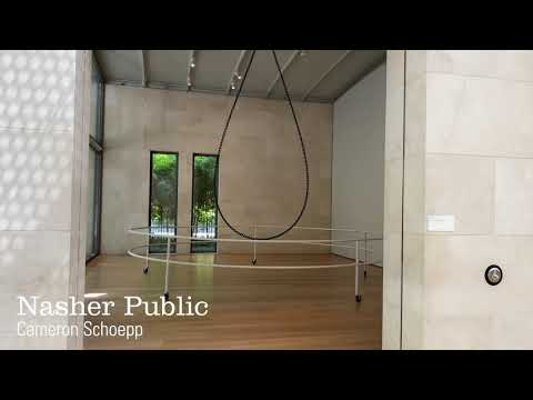 Nasher Public: Cameron Schoepp