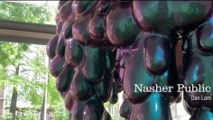 Nasher Public: Dan Lam on Immersive Sculpture