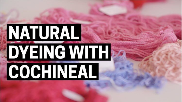 Natural Dyeing with Cochineal