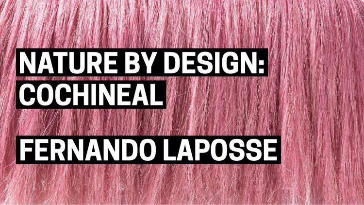 Nature by Design: Cochineal | Fernando Laposse