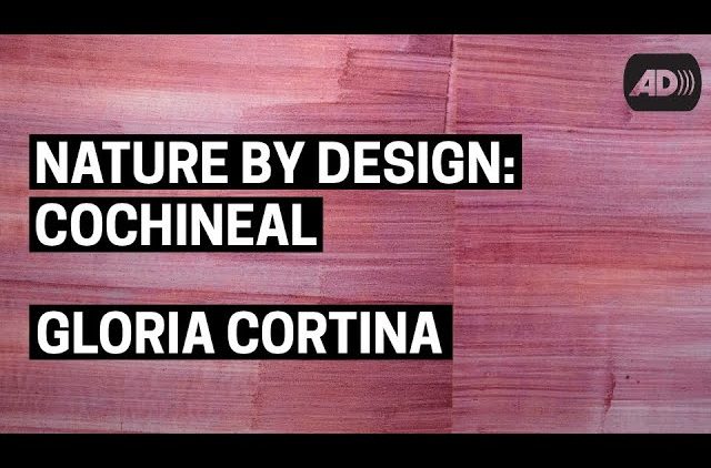 Nature by Design: Cochineal | Gloria Cortina (with Audio Description)