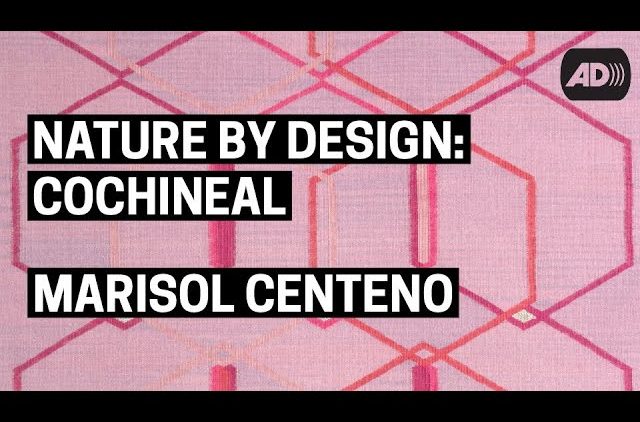 Nature by Design: Cochineal | Marisol Centeno (with Audio Description)