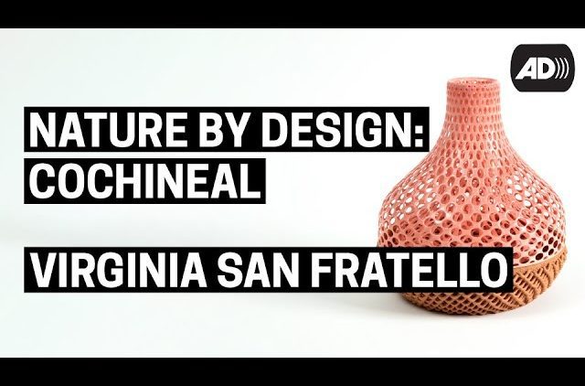 Nature by Design: Cochineal | Virginia San Fratello (with Audio Description)