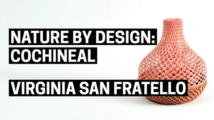 Nature by Design: Cochineal | Virginia San Fratello