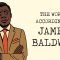 Notes of a native son: The world according to James Baldwin – Christina Greer