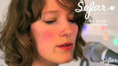 One Bird Orchestra – That Place | Sofar Brussels