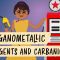 Organometallic Reagents and Carbanions: Crash Course Organic Chemistry #28