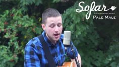 Pale Male – Song | Sofar Leiden