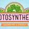 Photosynthesis: Crash Course Biology #8