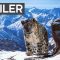 Planet Earth II: Official Extended Trailer | BBC Earth