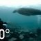 POLAR OBSESSION 360 | National Geographic