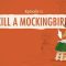 Race, Class, and Gender in To Kill a Mockingbird: Crash Course Literature 211