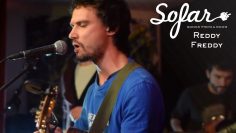 Reddy Freddy – Little Miss Stowaway | Sofar Columbus