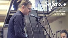 Rosemary & Garlic – Blue Boy | Sofar Utrecht