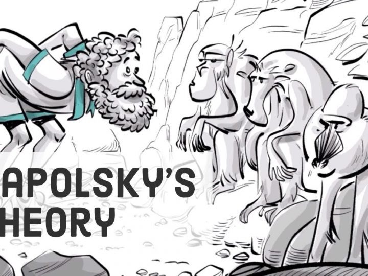 Sapolsky’s Theory of Evolutionary Psychology