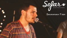 Savannah Fish – Mzes | Sofar Tbilisi