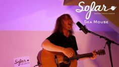 Sea Mouse – Tropical Fish | Sofar Wellington