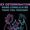 Sex Determination: More Complicated Than You Thought