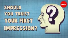 Should you trust your first impression? – Peter Mende-Siedlecki