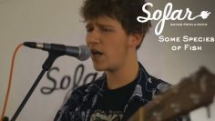 Some Species of Fish – Balladmonger | Sofar Graz