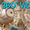 Step inside the Large Hadron Collider (360 video) – BBC News