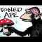 Stoned Ape & Fungal Intelligence – Paul Stamets