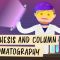 Synthesis and Column Chromatography: Crash Course Organic Chemistry #25