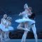 Tchaikovsky: Swan Lake – The Kirov Ballet