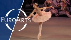 Tchaikovsky – The Nutcracker, Ballet in two acts | Mariinsky Theatre (HD 1080p)