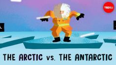 The Arctic vs. the Antarctic – Camille Seaman