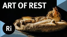 The Art of Rest – with Claudia Hammond