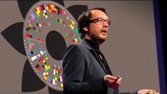 The beauty of data visualization – David McCandless