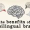 The benefits of a bilingual brain – Mia Nacamulli