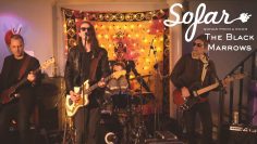 The Black Marrows – A New Hole On My Belt | Sofar Tbilisi