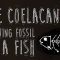 The coelacanth: A living fossil of a fish – Erin Eastwood