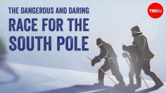 The dangerous race for the South Pole – Elizabeth Leane