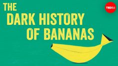 The dark history of bananas – John Soluri