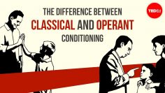 The difference between classical and operant conditioning – Peggy Andover