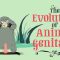 The evolution of animal genitalia – Menno Schilthuizen