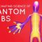 The fascinating science behind phantom limbs – Joshua W. Pate