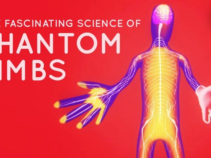 The fascinating science behind phantom limbs – Joshua W. Pate