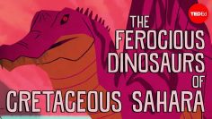 The ferocious predatory dinosaurs of Cretaceous Sahara – Nizar Ibrahim