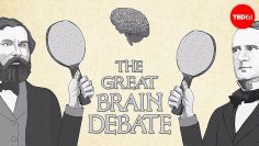 The great brain debate – Ted Altschuler