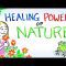 The Healing Power of Nature!