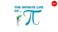 The infinite life of pi – Reynaldo Lopes