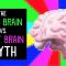 The left brain vs. right brain myth – Elizabeth Waters